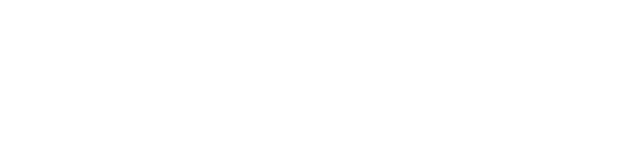 2021年10月オープン 木々の中で暮らす平屋の住まい