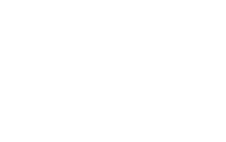2021年10月オープン 木々の中で暮らす平屋の住まい