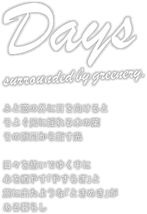 木々の中で暮らす平屋の住まい